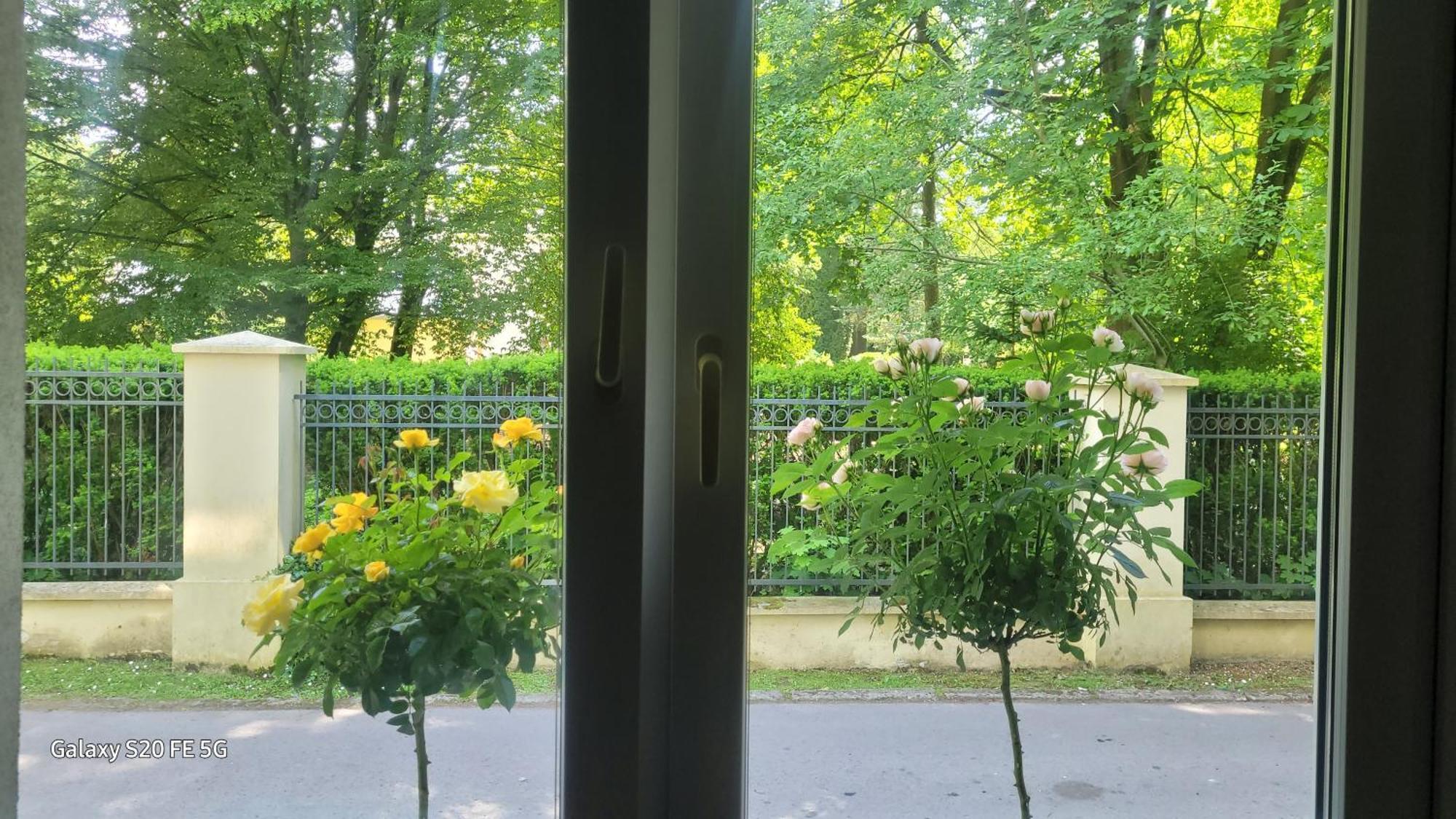 Apartament Przy Parku Nałęczów Kültér fotó